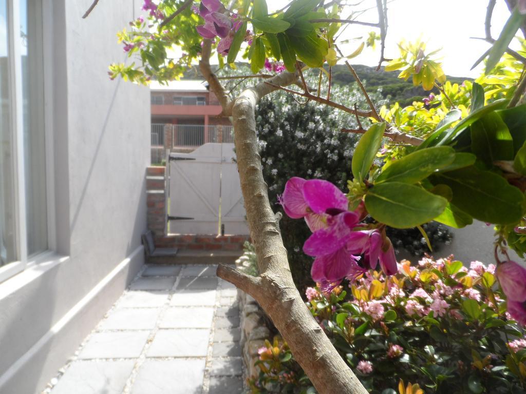 The Gift Apartment Agulhas Phòng bức ảnh