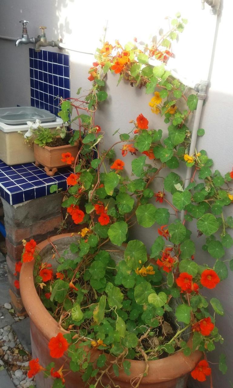 The Gift Apartment Agulhas Ngoại thất bức ảnh