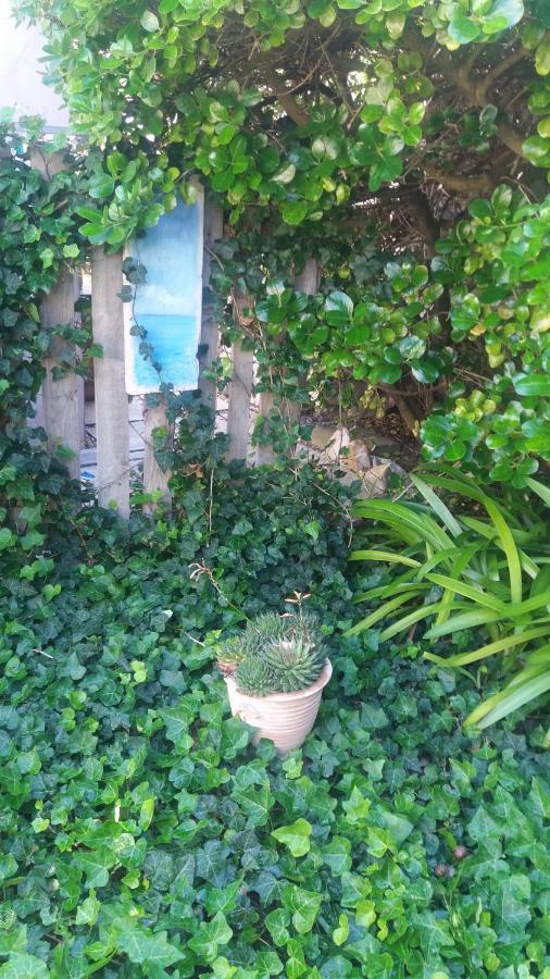 The Gift Apartment Agulhas Ngoại thất bức ảnh